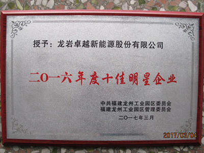 2016年度十佳明星企業