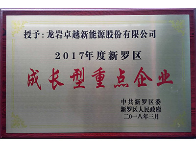 2017年度成長型重點企業