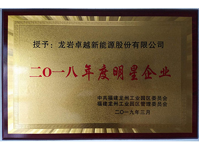 2018年度明星企業